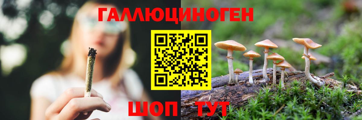 Галлюциногенные грибы Psilocybe Алексин